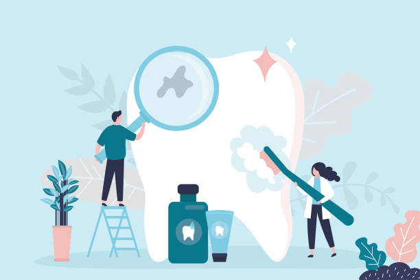 Best Traditional Braces  in Churchill, OH